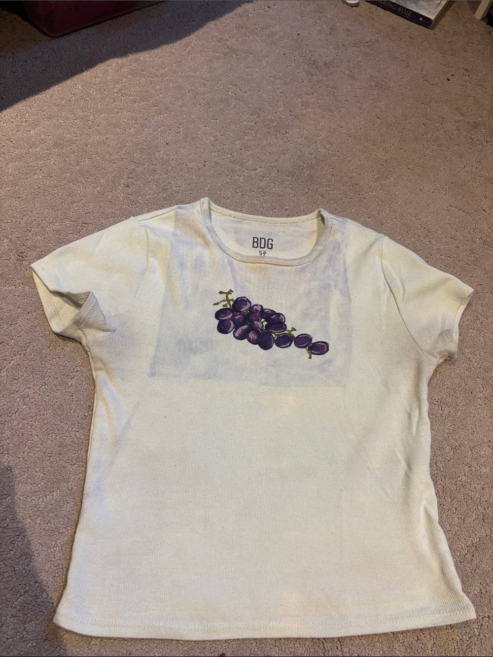 BDG / Urban Outfitters Mint T‑Shirt with Purple Grape Print